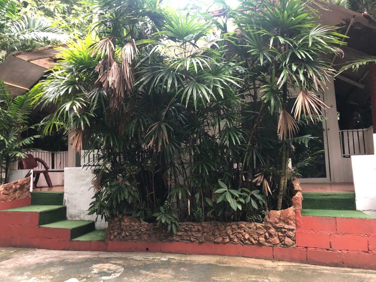 Pine Bungalow Krabi town Exterior foto